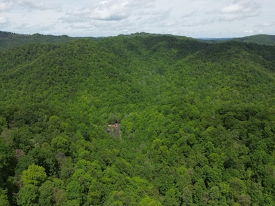 24 Border Creek Rd, Panther, WV 24872 - photo 7