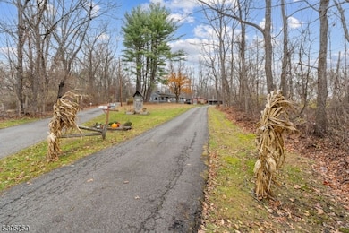 3 Volker Ln, Sandyston, NJ 07827 - photo 2