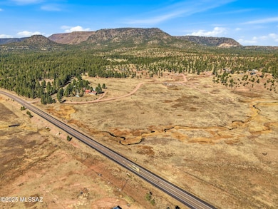 LOT 35 the Ranch at Alpine unit 35, Alpine, AZ 85920 - photo 7