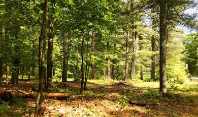 IMG_0971