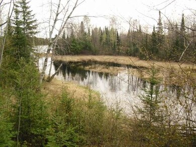 N 8992 Deer Tr, Tomahawk, WI 54487 - photo 4