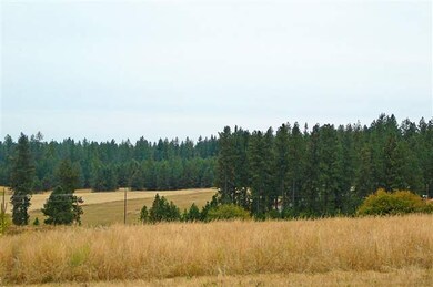 17717 N Austin Rd, Spokane, WA 99208 - photo 2