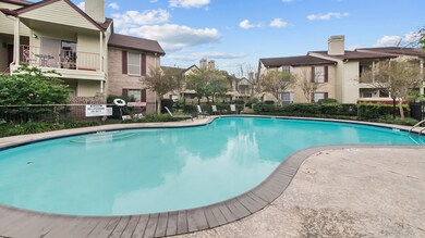 2120 El Paseo St unit 1403, Houston, TX 77054 - photo 7