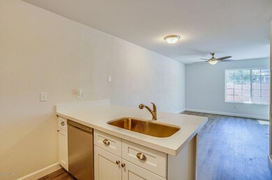 2301 E University Dr unit 446, Mesa, AZ 85213 - photo 4