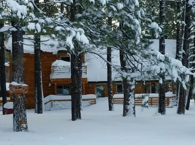 Snow pic