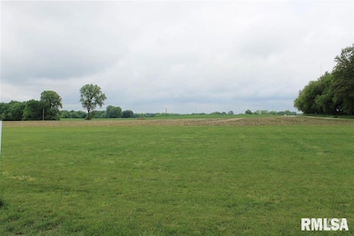 Lot 3 N Dubois Rd, Brimfield, IL 61517 - photo 3