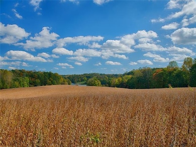 4759 Oakland Rd, Louisa, VA 23093 - photo 4