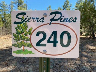Lot 240