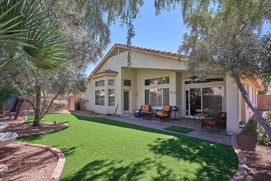 Backyard2