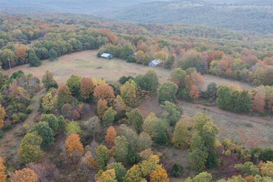 14136 Low Gap Rd, West Fork, AR 72774 - photo 3