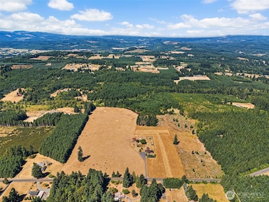 0 Frogner Rd unit 3 NWM2417175, Adna, WA 98532 - photo 3