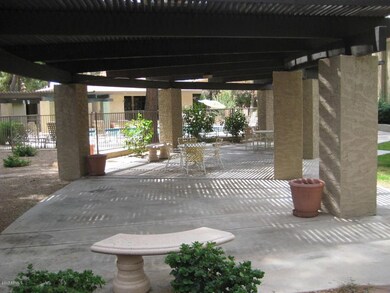 Poolside Patio