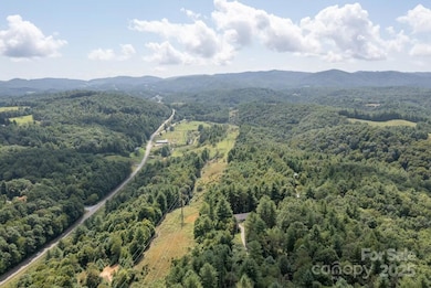 0 Monticello Dr unit CAR4303996, West Jefferson, NC 28694 - photo 3