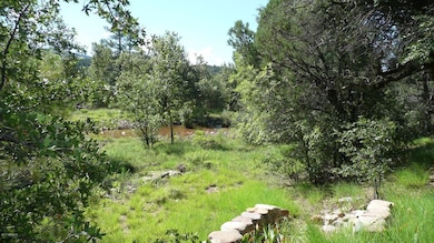 Cherry Creek in Early August