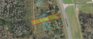0 S Kenansville Rd unit MFRO6241002, Yeehaw, FL 34972 - photo 4