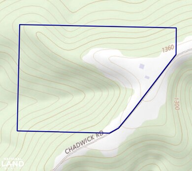 6955 Chadwick Rd, Chadwick, MO 65629 - photo 4