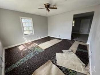 4619 S Amherst Hwy, Madison Heights, VA 24572 - photo 5