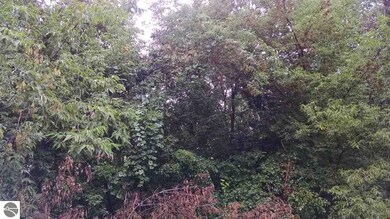 0 N Van Horn Rd, Au Gres, MI 48703 - photo 7