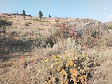 4 Painted Rock Rd, Tonasket, WA 98855 - photo 5