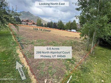 1080 N Alpenhof Ct unit 5, Midway, UT 84049 - photo 6