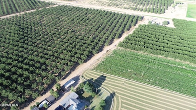 DJI_0065