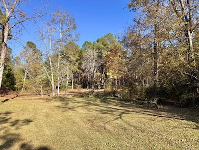 199 Lb Nevels Rd, Moultrie, GA 31768 - photo 7