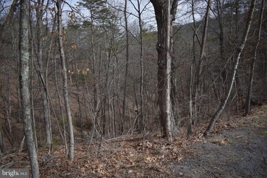 0 Nicklaus Dr unit VASH2007924, Basye, VA 22810 - photo 2