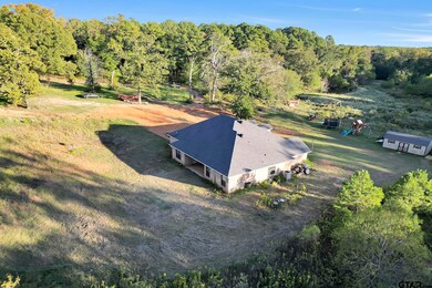 10992 County Road 2209, Tyler, TX 75707 - photo 7