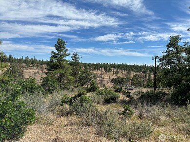 0 Section 5 unit NWM2408212, Goldendale, WA 98620 - photo 7