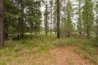 202 Eagle Dr, Chewelah, WA 99109 - photo 2