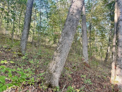 0 New England Ridge Rd unit 25758592, Washington, WV 26181 - photo 3