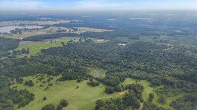 TBD Farm To Market 1002, Big Sandy, TX 75755 - photo 5