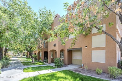 3-web-or-mls-Colter-3