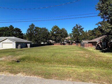 -0- Dillon Dr, Magnolia, TX 77354 - photo 3