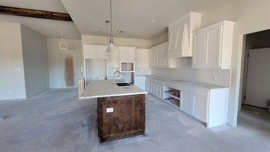 4036 Overlook Way, Weatherford, TX 76085 - photo 6