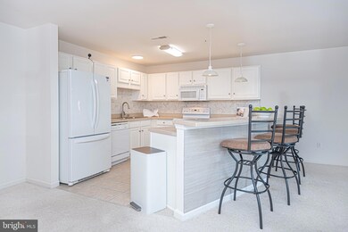 20356 Blue Point Dr unit 1203, Rehoboth Beach, DE 19971 - photo 5