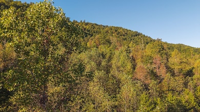 97 Acres Black Valley Rd, Sneedville, TN 37869 - photo 7