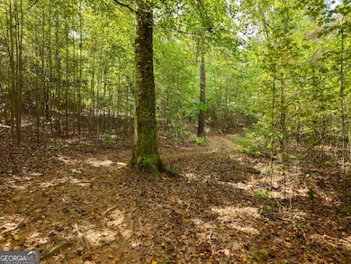 130 Rucker Rd, Commerce, GA 30530 - photo 5