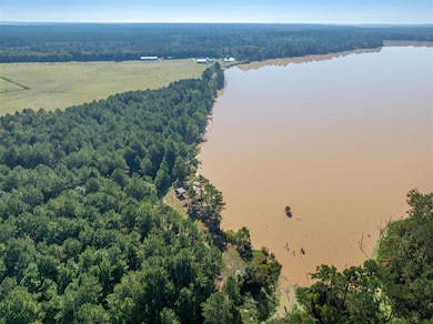 TBD Parish Line Rd, Kinder, LA 70648 - photo 4