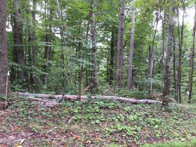 0 Tolliver Rd unit Lot B 216031336, Logan, OH 43138 - photo 3