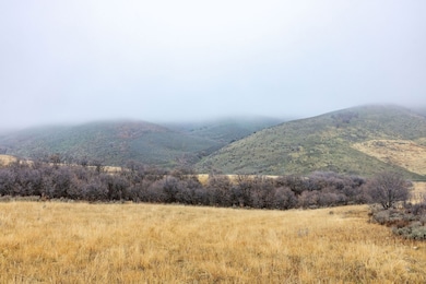 300 N Canyon Rd, Malad City, ID 83252 - photo 5