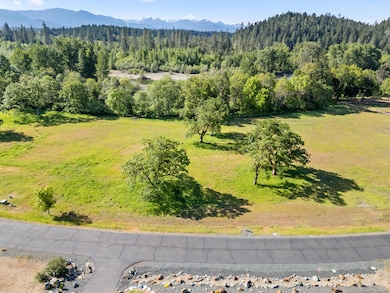 23_557 e forks cir - drone - 1