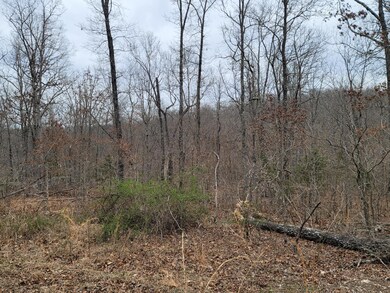 000 Ledgewood Rd, Cabool, MO 65689 - photo 4