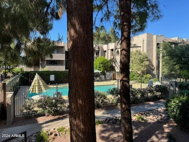 A View from the Condo