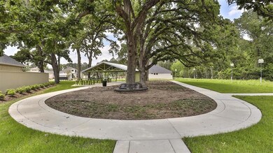 143 Harlequin Duck Ct, Magnolia, TX 77354 - photo 4