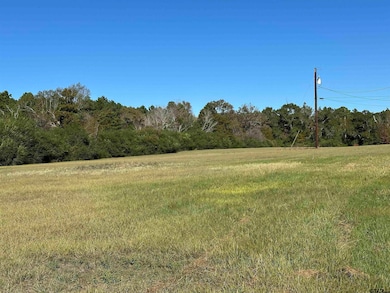 14B  / TBD Old Spanish Trial Dr, Alto, TX 75925 - photo 2