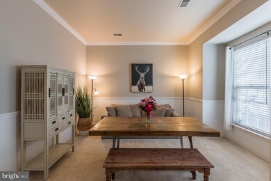 9010 Ribbon Falls Loop, Bristow, VA 20136 - photo 6