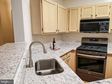 14314 Climbing Rose Way unit 102, Centreville, VA 20121 - photo 6