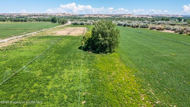 DJI_0614