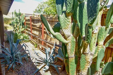Desert Landscaping